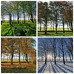 Fewo Sort Sol - Auszeit In Perfekter Alleinlage Lägenhet Aventoft