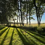 Sort Sol Grellsbülldeich 7