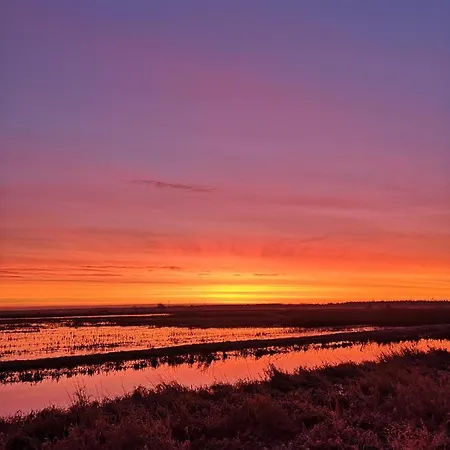 Apartament Sort Sol Grellsbuelldeich 7 Aventoft