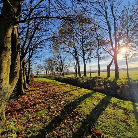 Apartament Sort Sol Grellsbuelldeich 7 *