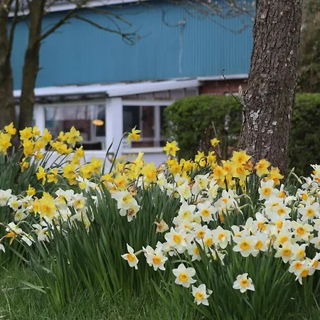 Sort Sol Grellsbuelldeich 7 Apartament Aventoft