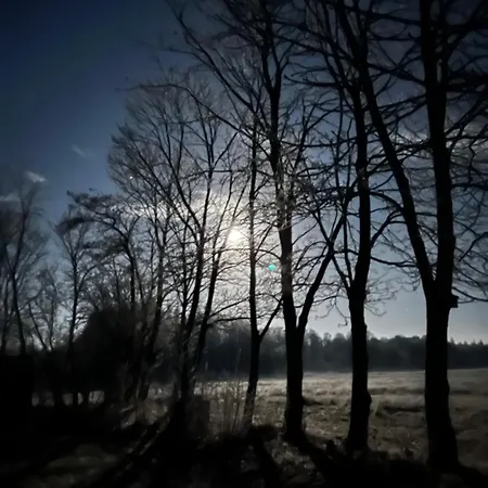 Sort Sol Grellsbuelldeich 7 Appartement Aventoft