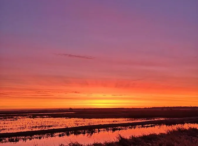 Appartement Sort Sol Grellsbuelldeich 7 Aventoft