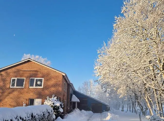 Sort Sol Grellsbuelldeich 7
