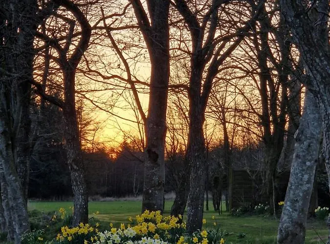 Sort Sol Grellsbuelldeich 7 Appartement Aventoft