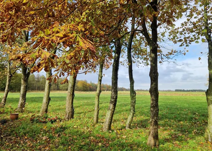 Sort Sol Grellsbuelldeich 7