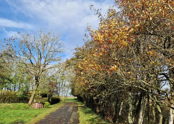 Sort Sol Grellsbuelldeich 7 * Aventoft