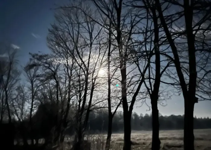 Sort Sol Grellsbuelldeich 7 Appartement Aventoft