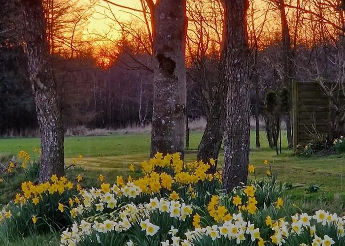 Sort Sol Grellsbuelldeich 7 * Aventoft