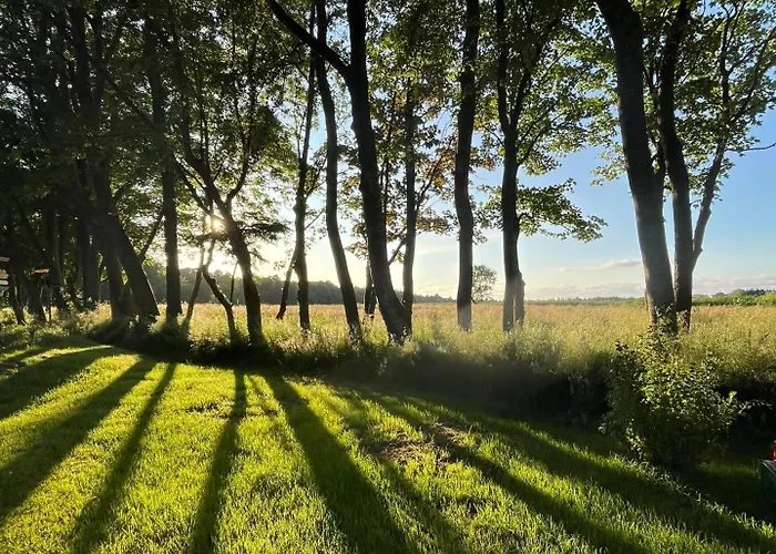 Sort Sol Grellsbuelldeich 7