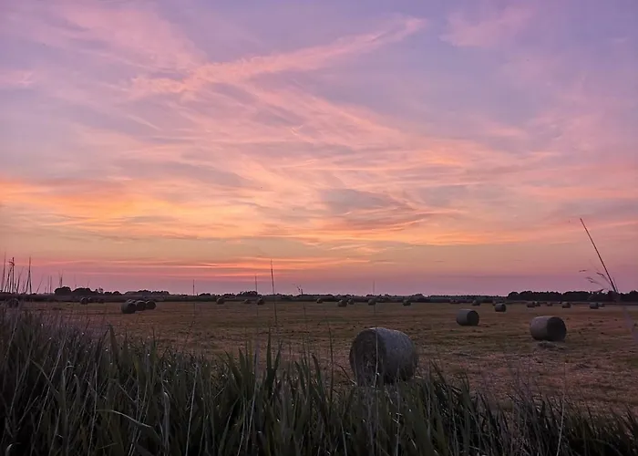 Sort Sol Grellsbuelldeich 7 Aventoft